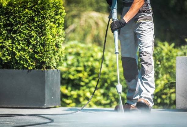 Animal Enclosure Cleaning in Lake Nacimiento, CA